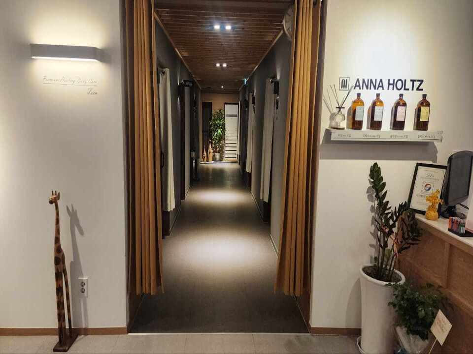 🌿춘천 티엔힐링바디케어 스웨디시관리사 모집합니다🌿