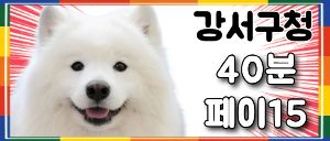 <오늘오픈 페이17까지> 강서구청 핑크문 스웨디시